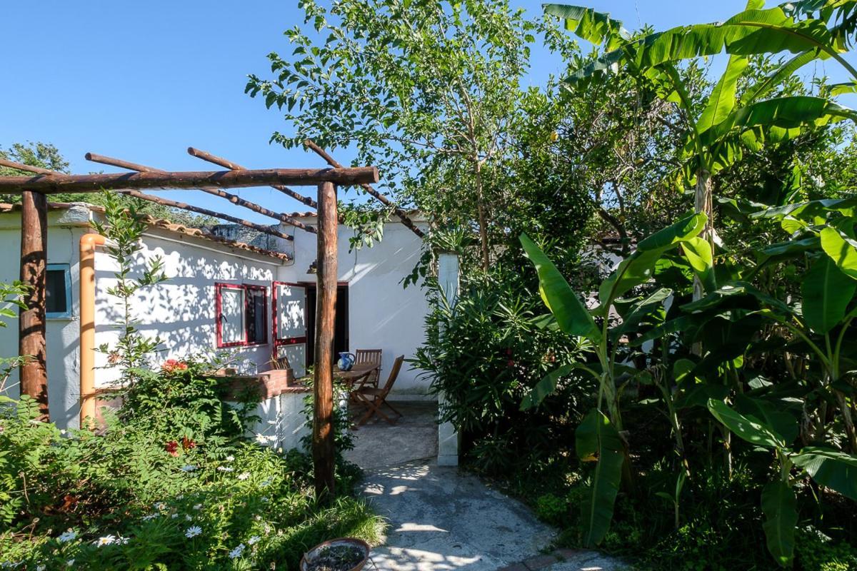 Aparthotel La Rosa Dei Venti Procida Exterior foto